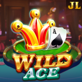 Wild Ace - Playtime Gaming Slot